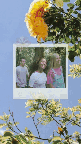 Aesthetic Instagram video collage with a Polaroid-style photo of friends walking outdoors, layered flower stickers and leafy branches, and the quote “finding joy in the ordinary” on a bright blue sky background.