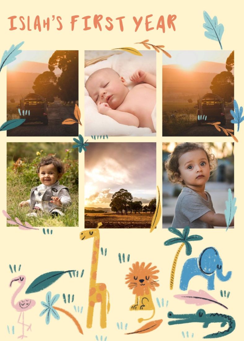 baby's milestone - first year